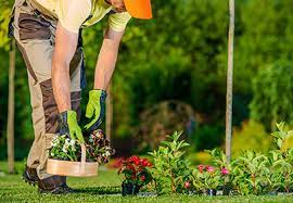 Landscaping crew mowing and trimming in safety gear